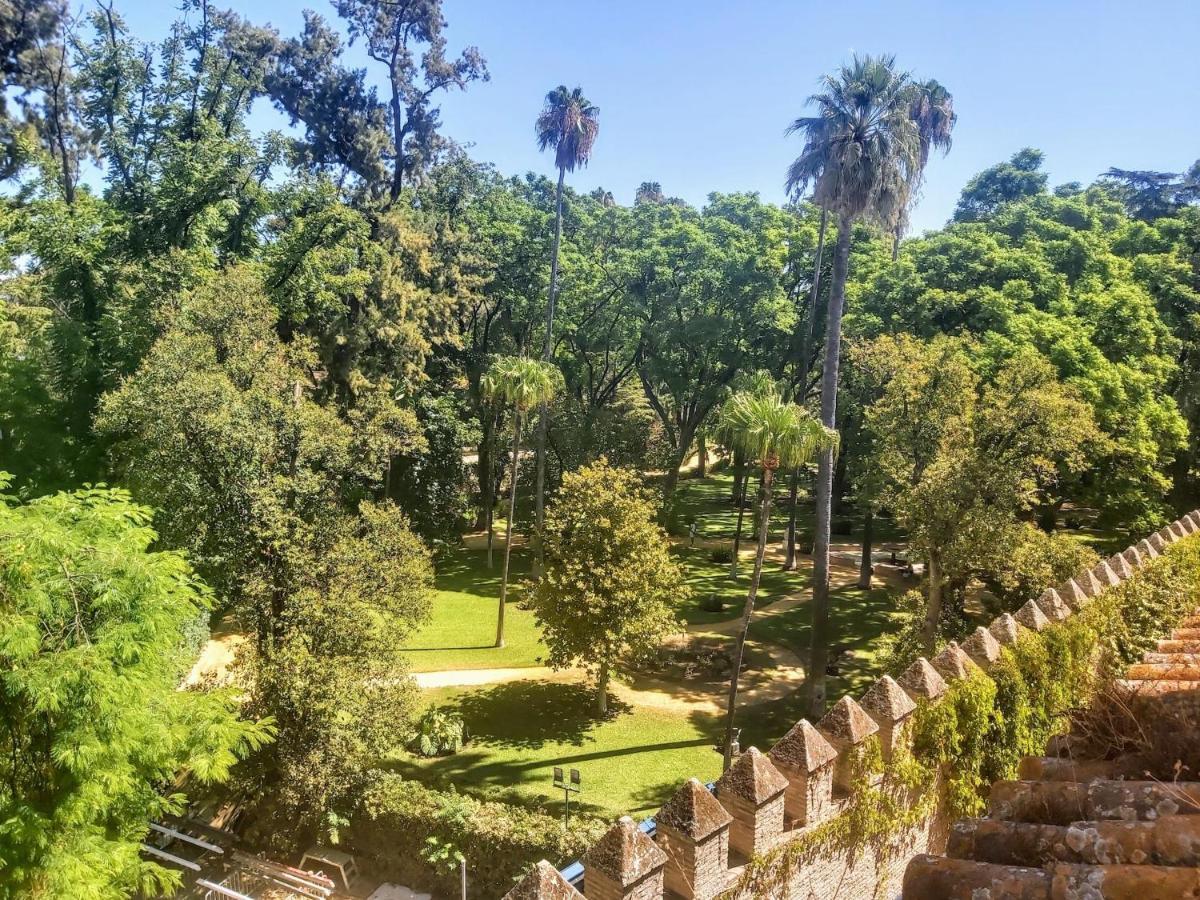 La Casa De San Fernando Con Vistas A Reales Alcazares * Sevilla