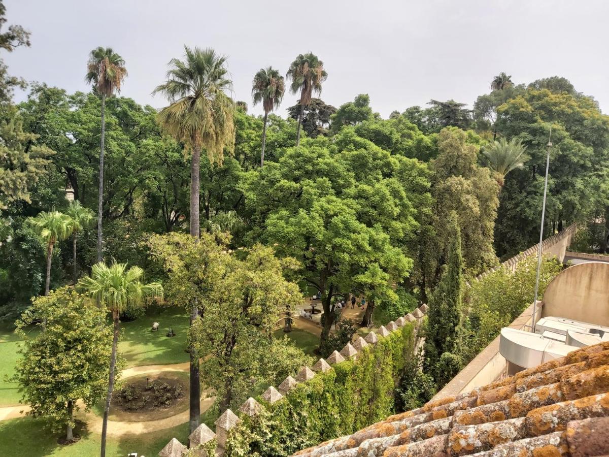 La Casa De San Fernando Con Vistas A Reales Alcazares Appartement Sevilla